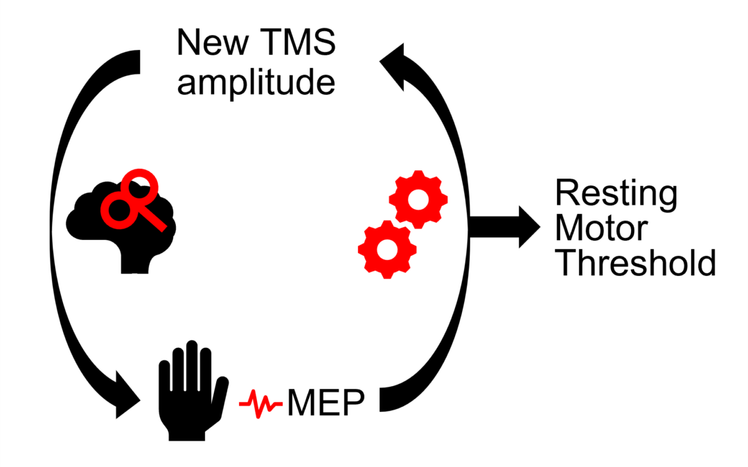 Tutorial: TMS resting motor threshold automatic estimation