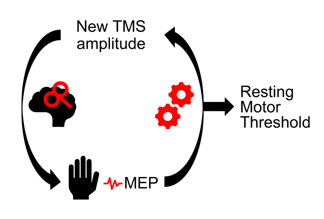 Tutorial: TMS resting motor threshold automatic estimation