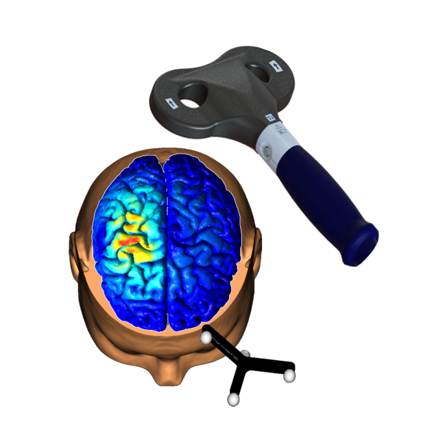 Tutorial: TMS neuronavigation and simNIBS